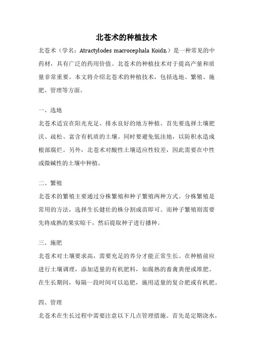 北苍术的种植技术