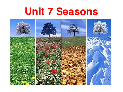 译林牛津版 8 A Unit 7welcome to the unit 公开课教学课件