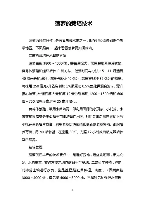 菠萝的栽培技术