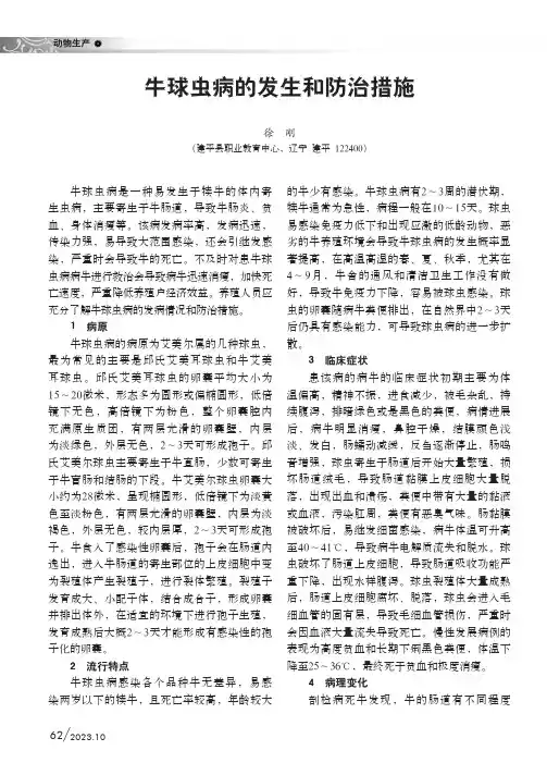 牛球虫病的发生和防治措施