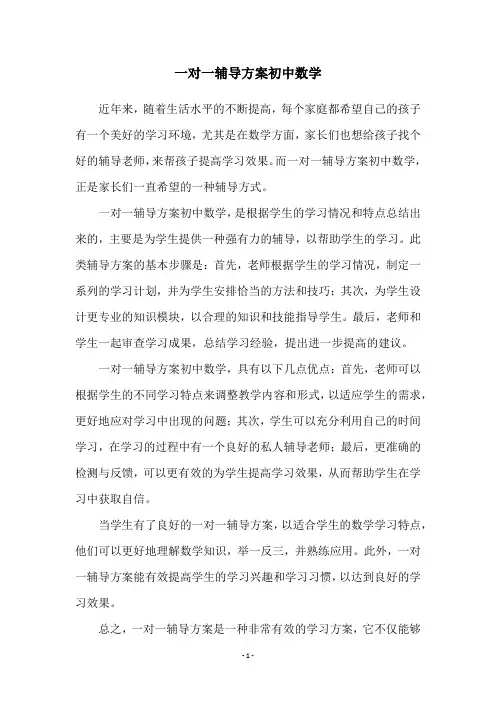 一对一辅导方案初中数学