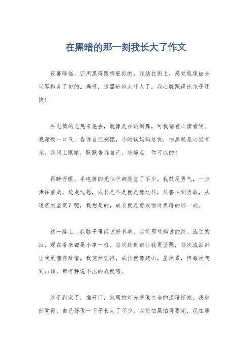 在黑暗的那一刻我长大了作文