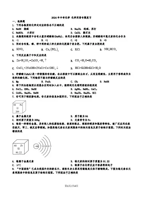 2024年中考化学专题复习----化学用语
