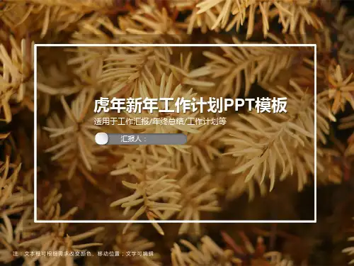 精品PPT模板(4套)