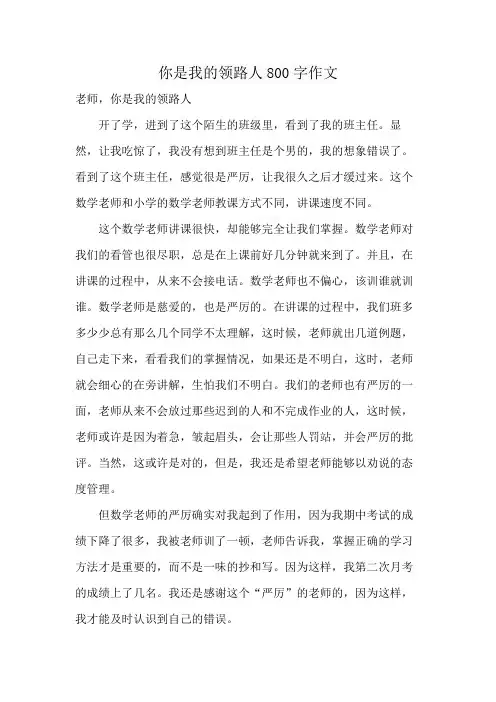 你是我的领路人800字作文