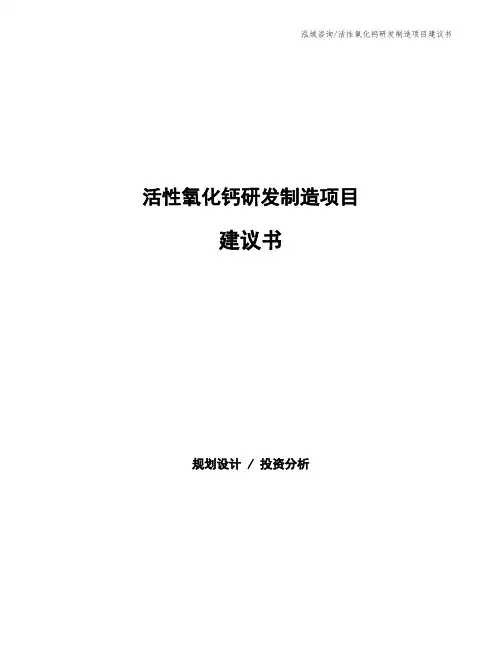 活性氧化钙研发制造项目建议书