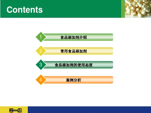 食品添加剂分析_PPT幻灯片