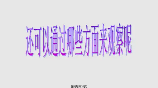 观察描述矿物二PPT课件