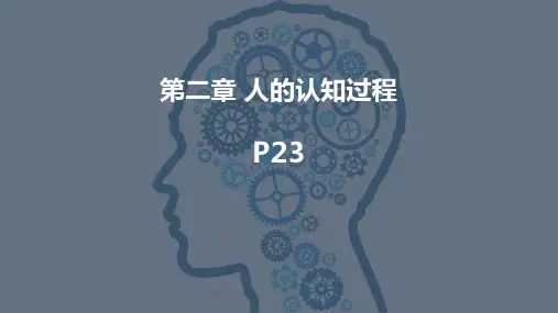 感觉知觉注意