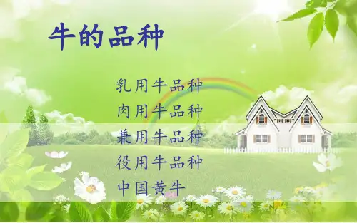 牛