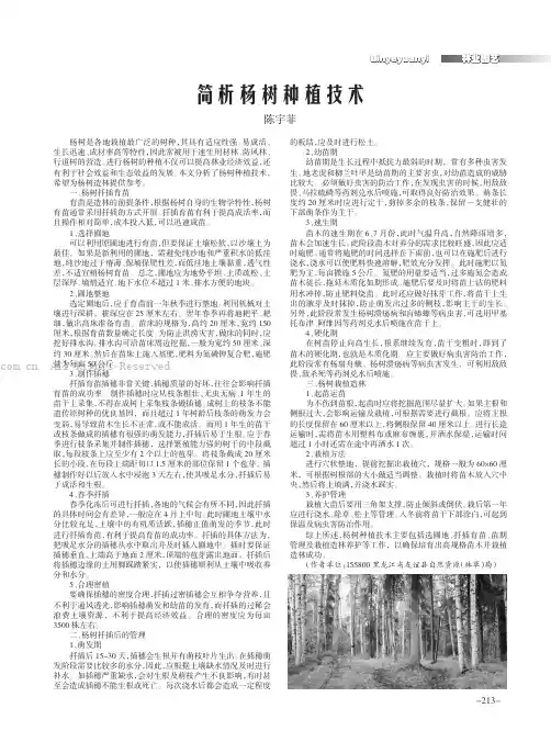简析杨树种植技术