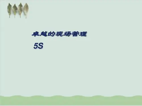 卓越的现场5S管理PPT课件( 45页)