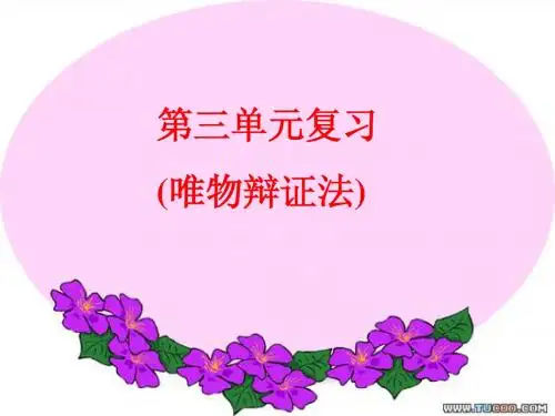 政治：第三单元 思想方法与创新意识 复习课件(新人教必修4)