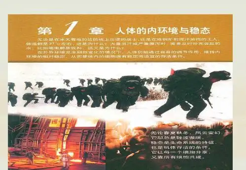 高中生物《第一章 第一节 细胞生活的环境》课件5 新人教版必修3