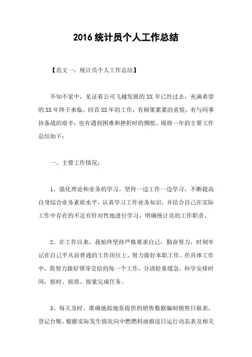 2016统计员个人工作总结
