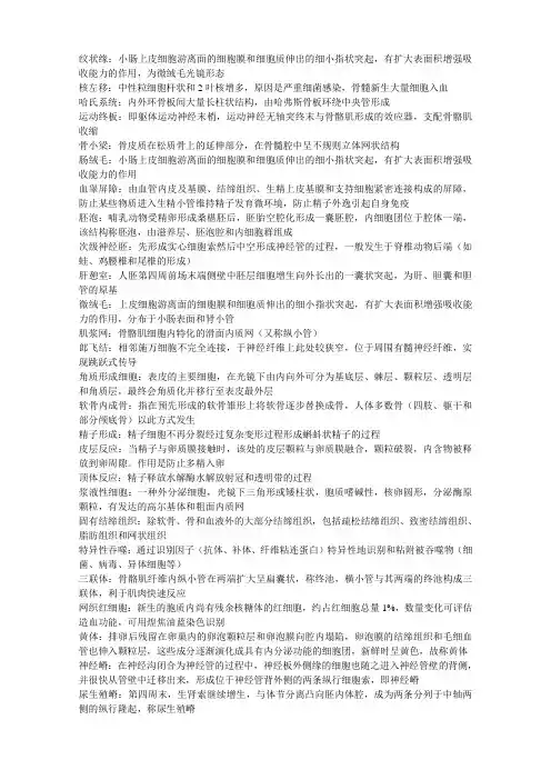 组胚名词解释