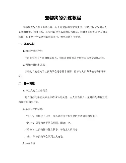 宠物狗的训练教程