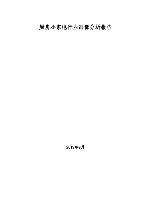 厨房小家电行业画像分析报告(2019年)