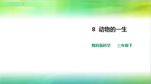 教科版小学科学新版三年级下册科学第二单元第8课  《动物的一生》课件