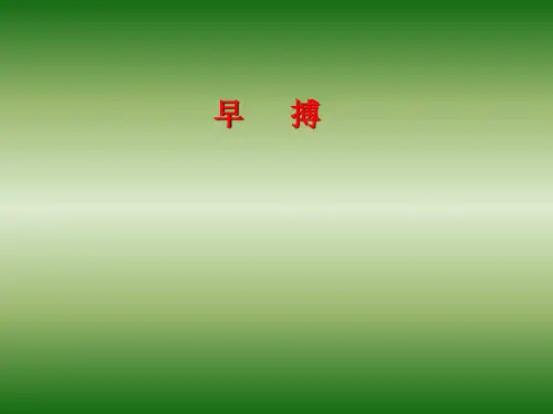 早搏课件