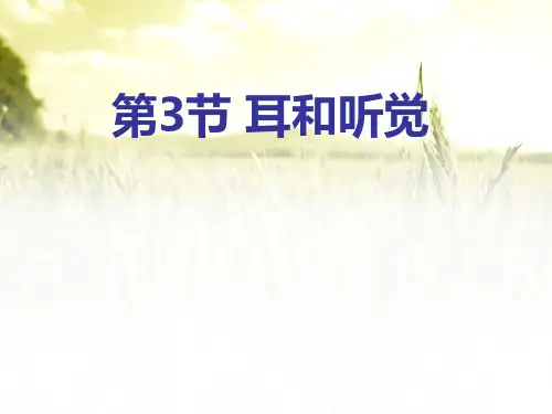《耳和听觉》PPT【精选推荐课件】