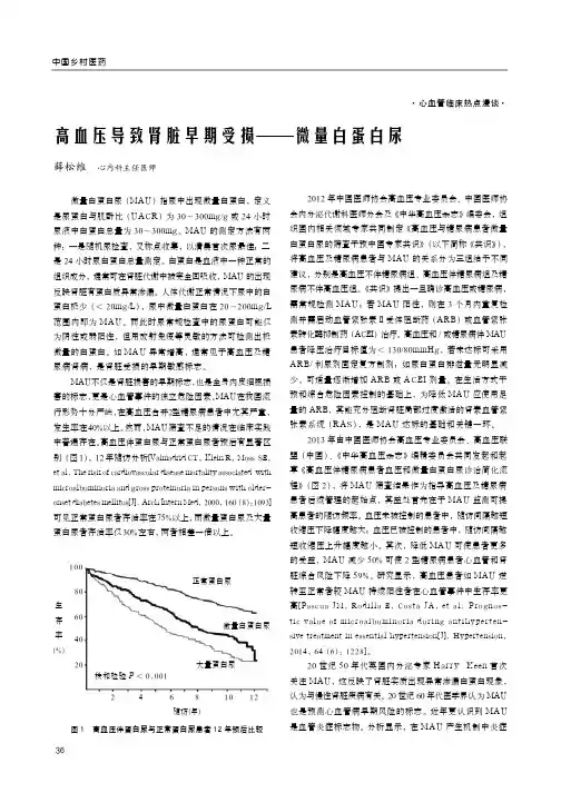 高血压导致肾脏早期受损——微量白蛋白尿