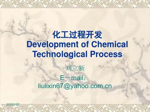 化工过程开发.ppt