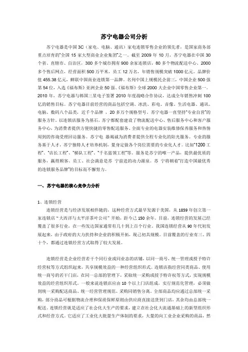 苏宁电器公司分析