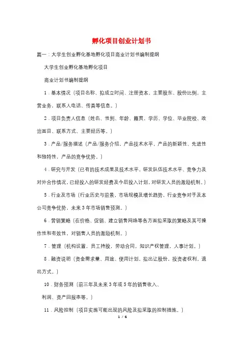 孵化项目创业计划书
