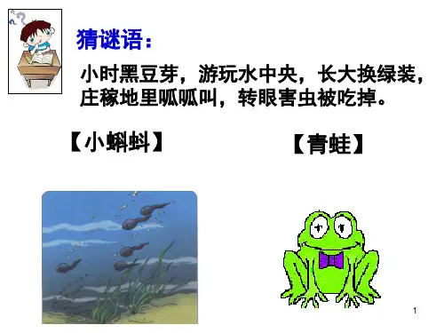 部编本1《小蝌蚪找妈妈》新插图PPT课件