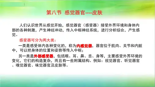 学前儿童卫生学(第八节 感觉器官)(皮肤)