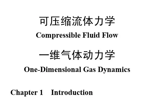 一维气体动力学