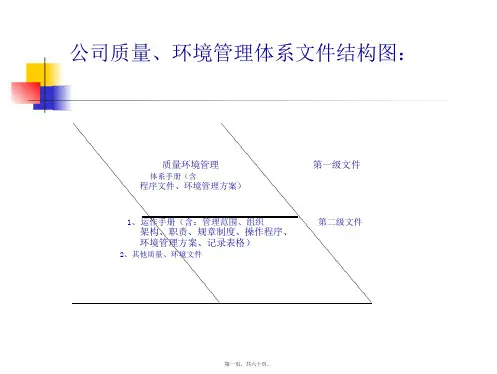 公司质量环境管理体系文件结构图