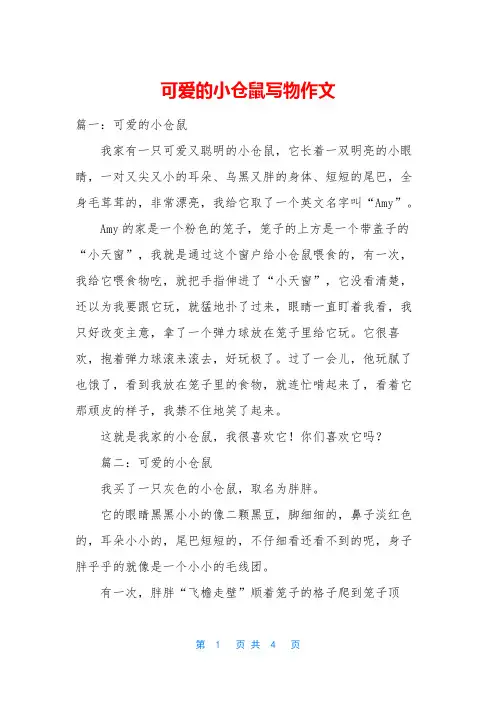 可爱的小仓鼠写物作文