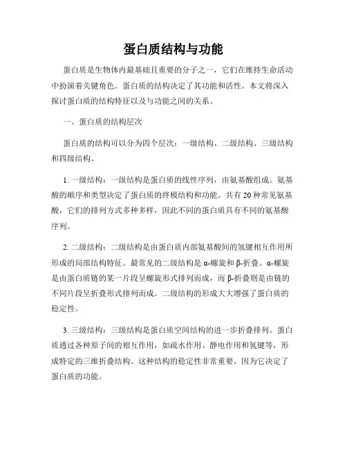 蛋白质结构与功能
