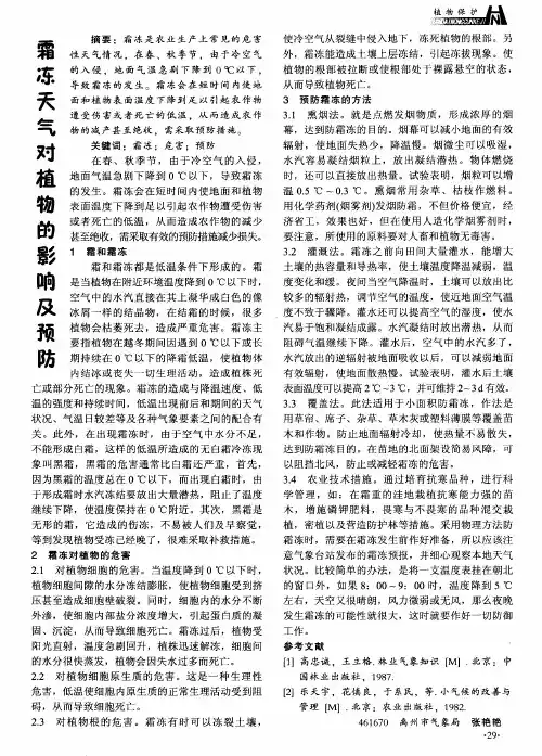 霜冻天气对植物的影响及预防