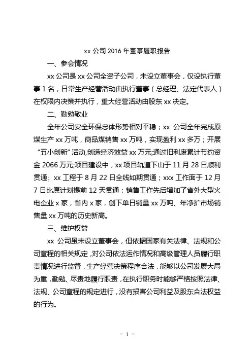 xx公司2016年董事履职报告