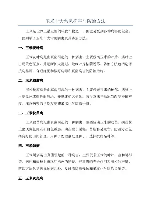 玉米十大常见病害与防治方法
