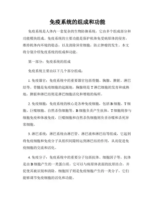 免疫系统的组成和功能
