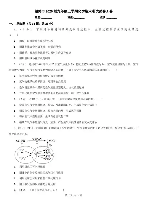 韶关市2020版九年级上学期化学期末考试试卷A卷