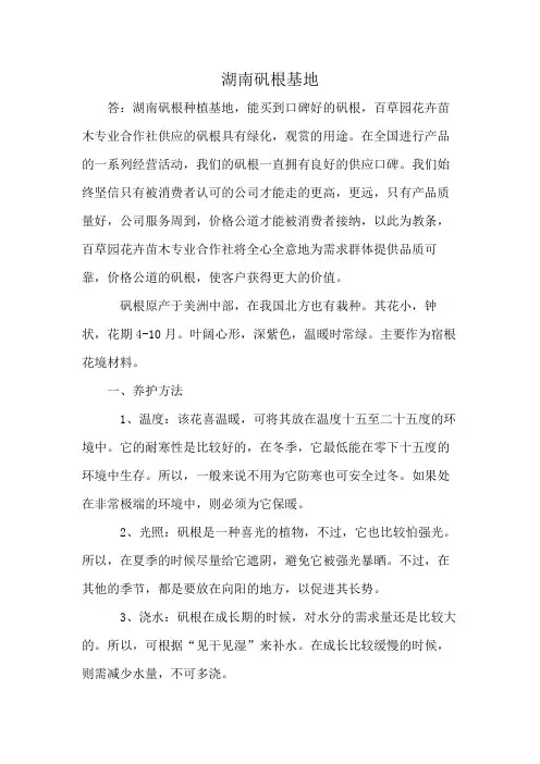 湖南矾根基地