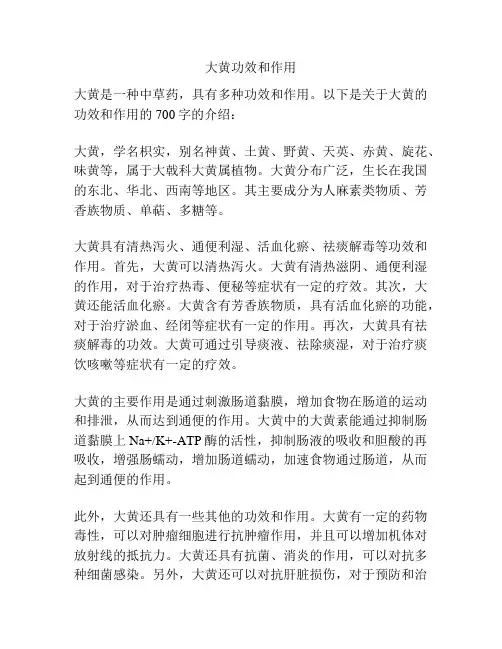 大黄功效和作用