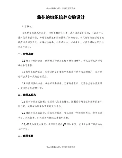 菊花的组织培养实验设计