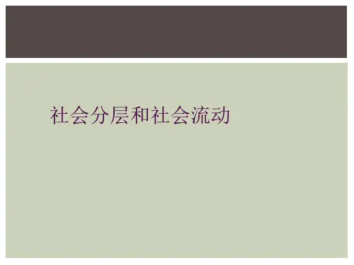 社会分层和社会流动