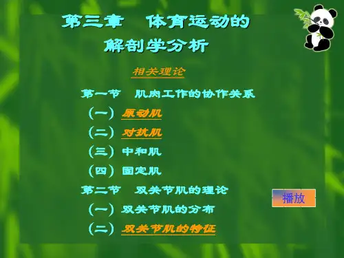 体育动作解剖学分析