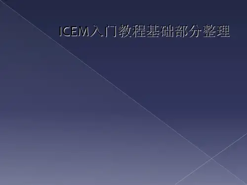ICEM入门教程基础部分整理