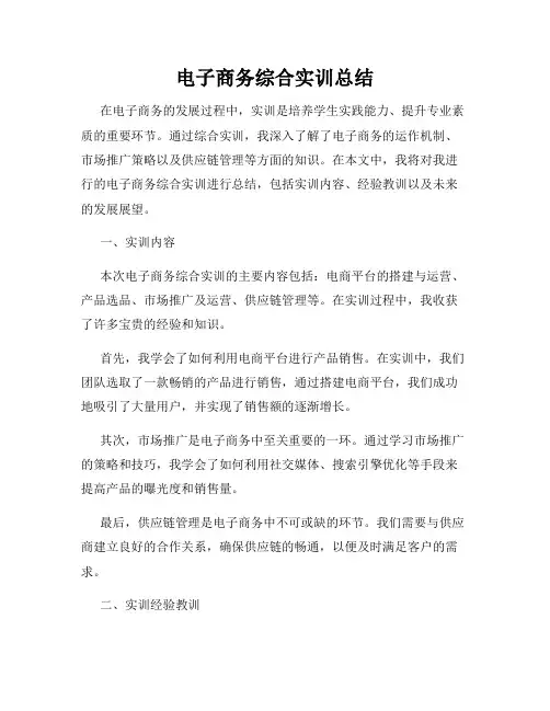 电子商务综合实训总结