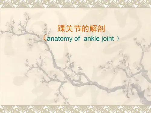 关节影像解剖ppt讲解课件