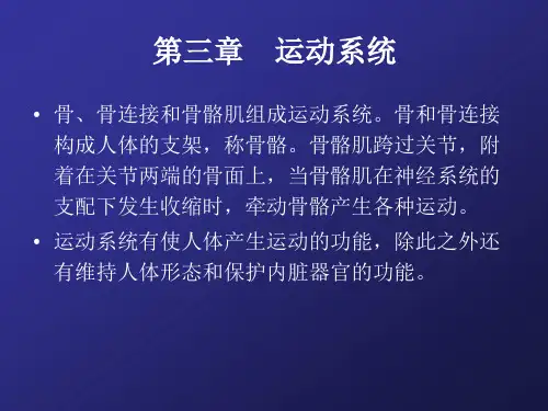 人体解剖生理学-第三章 运动系统