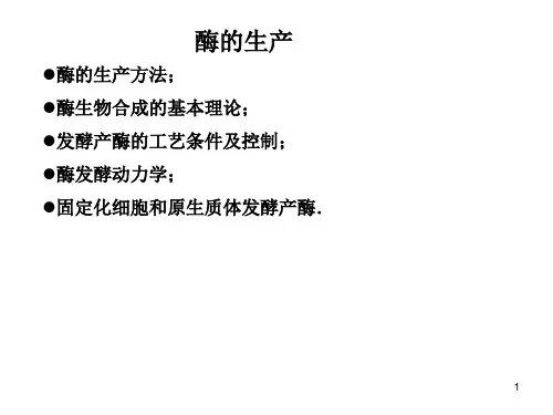 酶的生产方法ppt课件